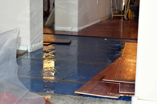 Professional Water Damage technician working in Platteville, WI